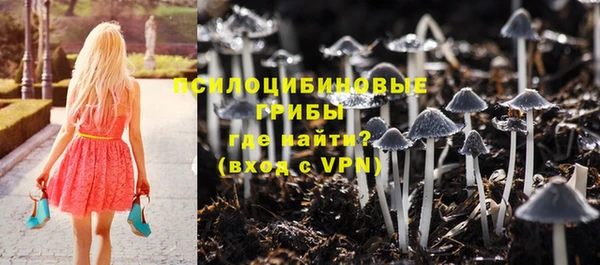 шишки Пролетарск