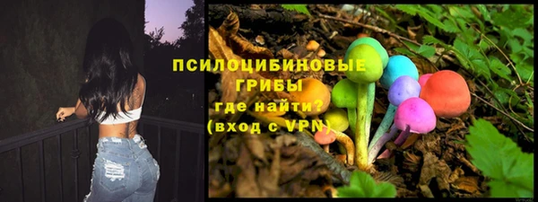 a pvp Алзамай